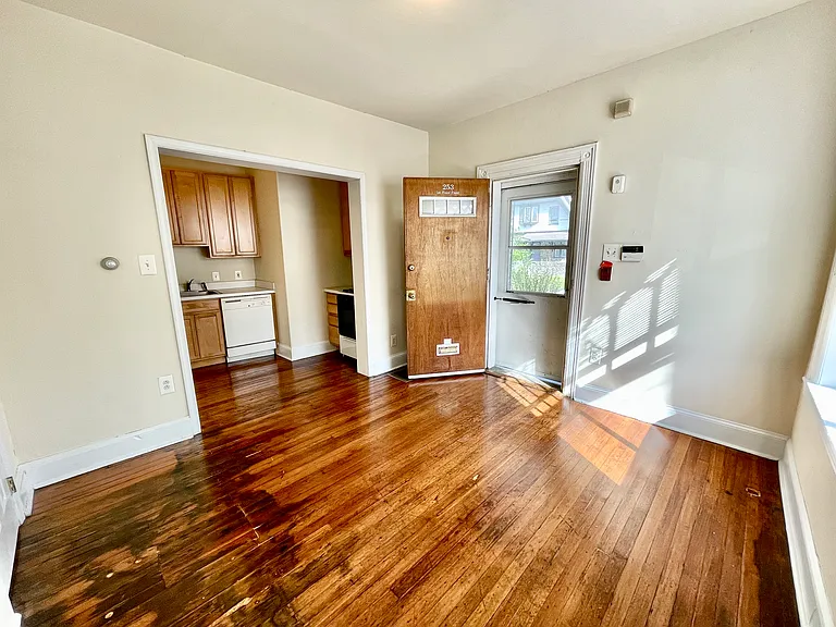 253 W Hansberry St #1F — Photo 14