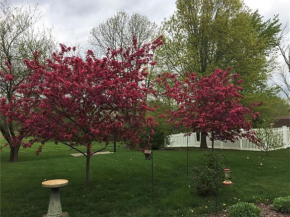 Lovely seasonal color splash out back. Hard to find a yard this nice anywhere, especially from builders today.