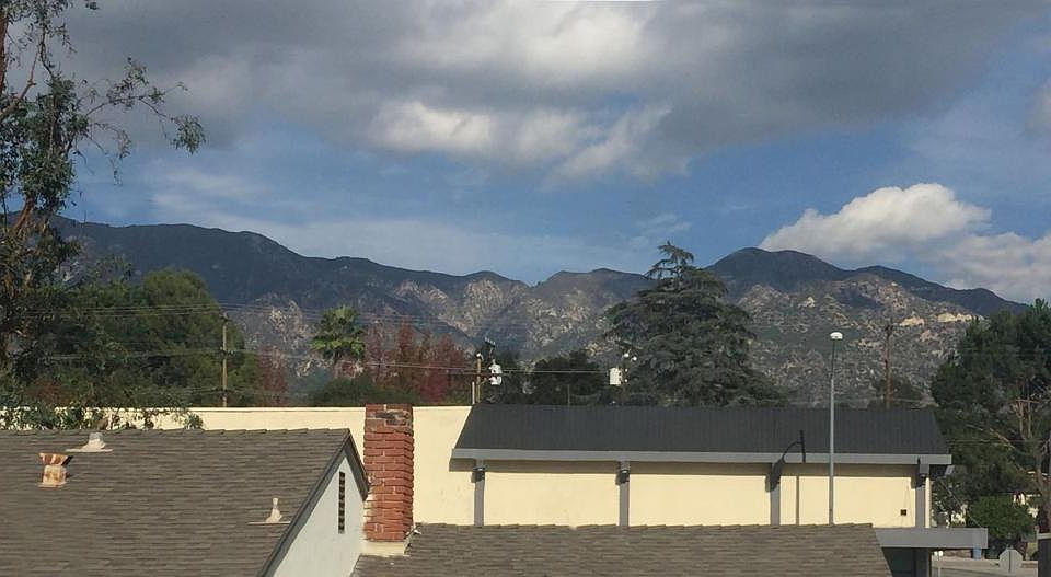 view from living room window