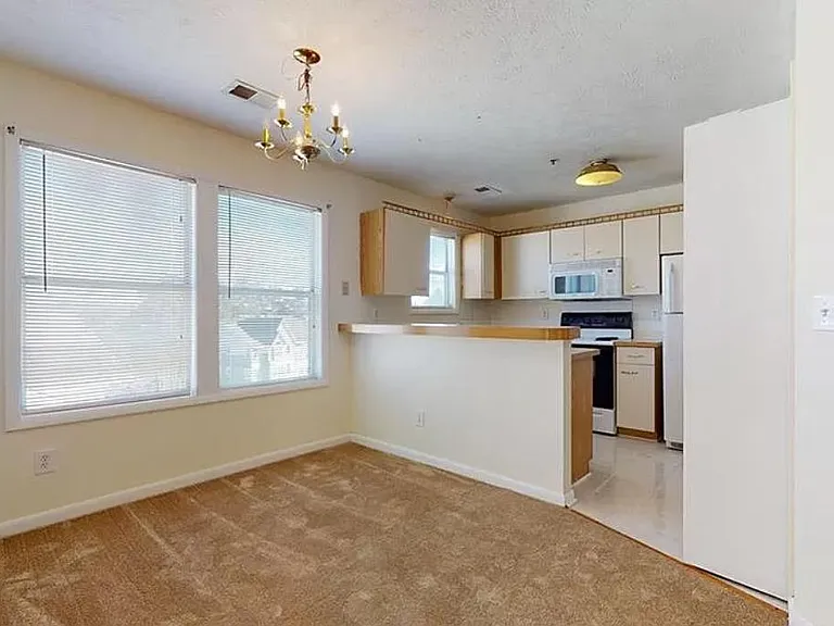 978 Stewarts Creek Dr #9 — Photo 4