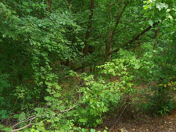 5th image of 5938 Trent Jones Way
