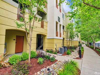 4700 Norris Canyon Rd Unit 204, San Ramon, CA, 94583