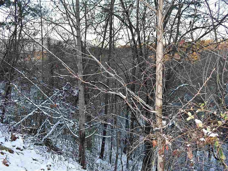 2nd image of 0 Black Bear Cub Way Lot 184