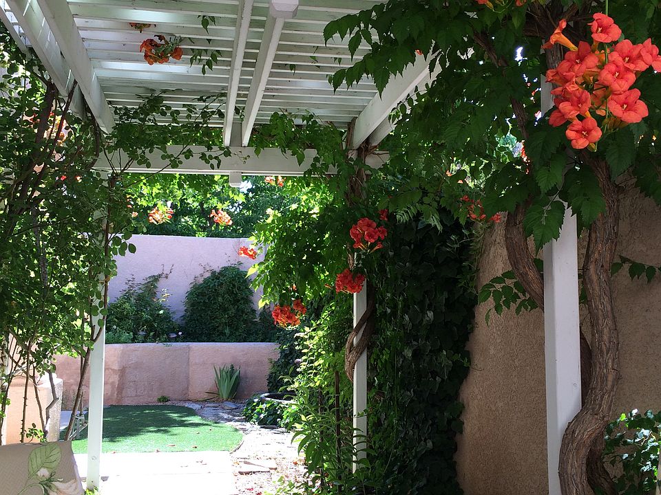 Your own little Shangrila!