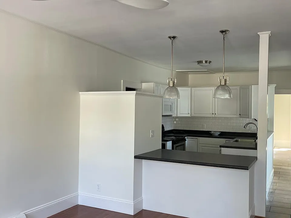 Living room and kitchen