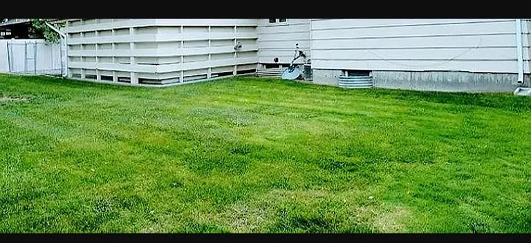2335 1/2 Wyoming Ave — Photo 2