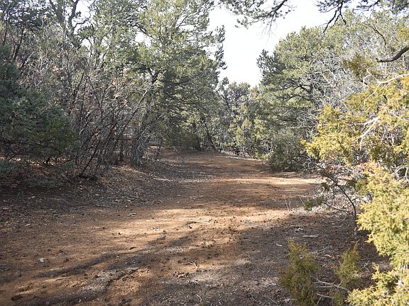 2nd image of 3 Entrada Pl
