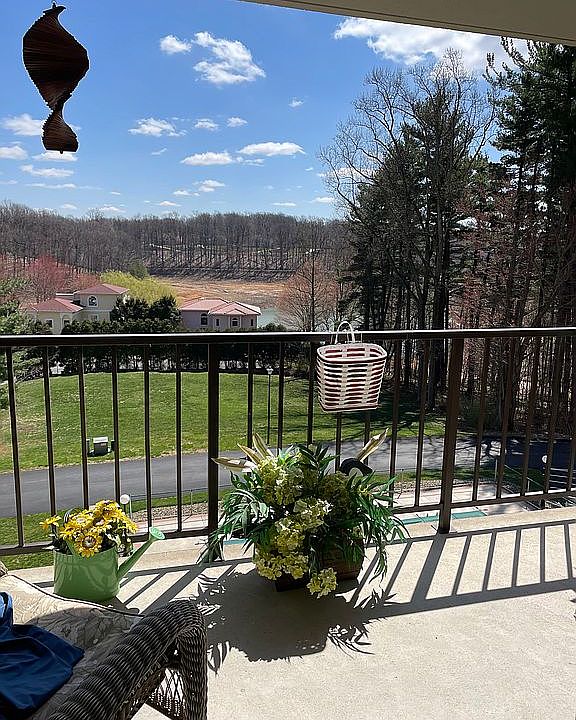 Your DAILY view!