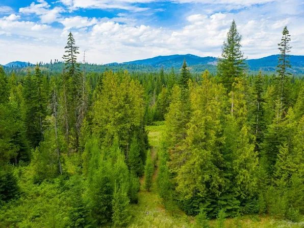 3311 Westside Calispel Rd, Usk, WA 99180