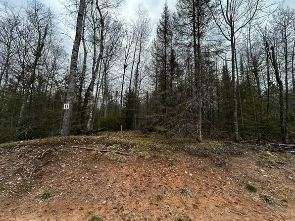 17 Butternut Cir, Eagle River, WI 54521
