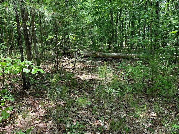 4th image of 14-75 Devereaux Point