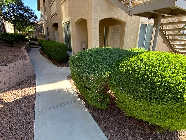 3541 Desert Cliff St #103 — Photo 6