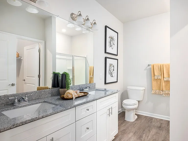 Spacious bathroom with dual vanity sinks and stylish finishes