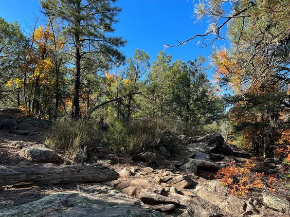 19 Fox Rd, Ramah, NM 87321