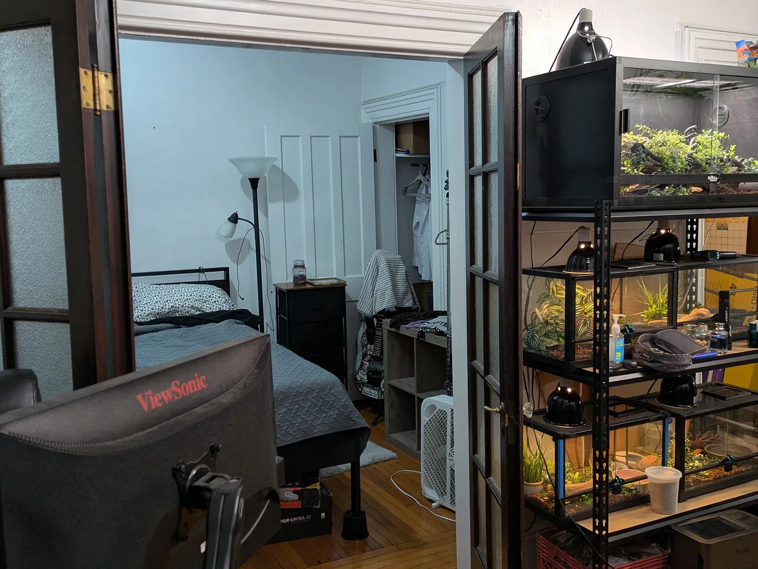 1 bed, $1,095 — Photo 2