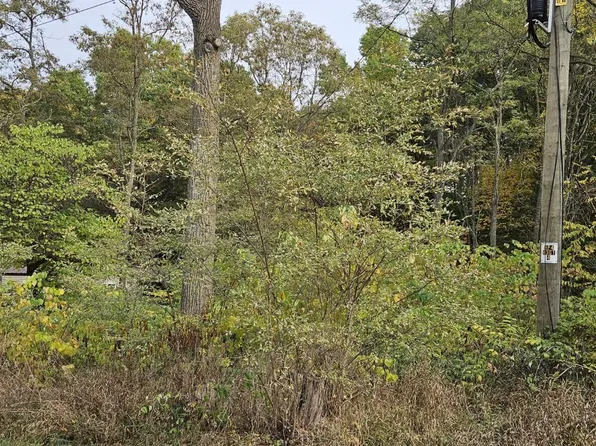 5750 S Oneida Trl, New Era, MI 49446