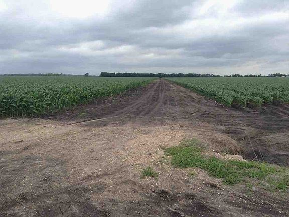 View from County Rd 217.