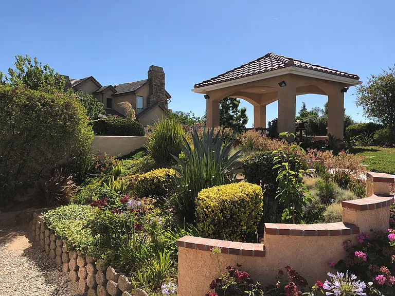 Back yard