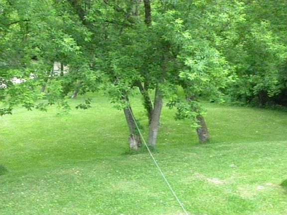 front yard