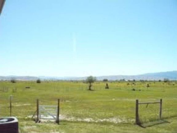 Pasture