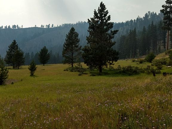 5th image of Nhn E Fork Rd