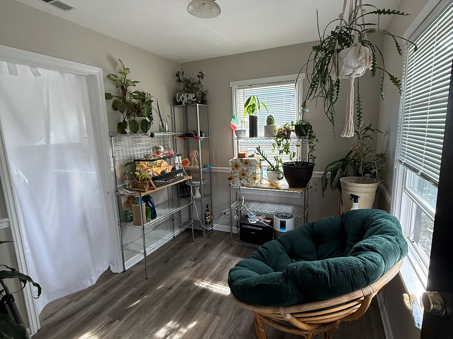 2 bed, 800 sqft, $2,100 — Photo 3