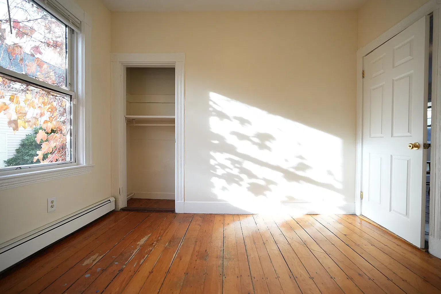 3 bed, $3,200 — Photo 3