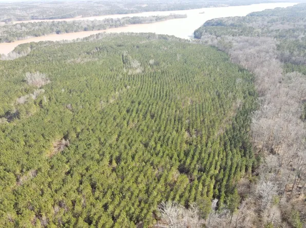 Rocky Creek Rd, Hampton, GA 30228