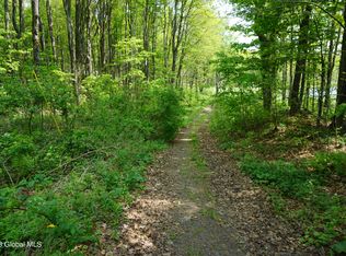 84 Thunder Hill Rd, Rensselaerville, NY 12147