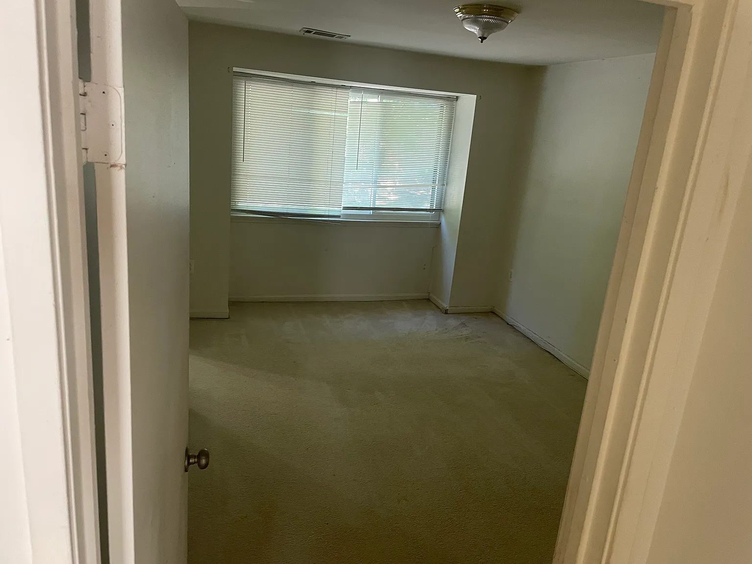1 bed, 250 sqft, $1,100 — Photo 2
