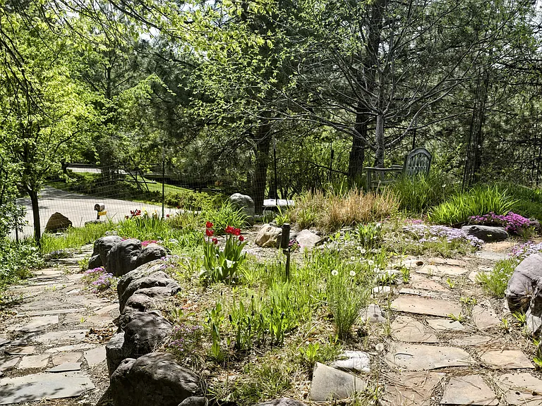 5680 Pinewood Ln — Photo 25