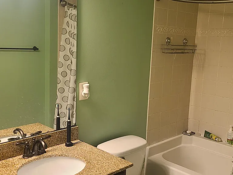 11650 Elizabeth Madison Ct — Photo 8
