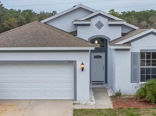8539 Southern Charm Cir, Brooksville, FL 34613