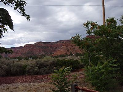 back yard