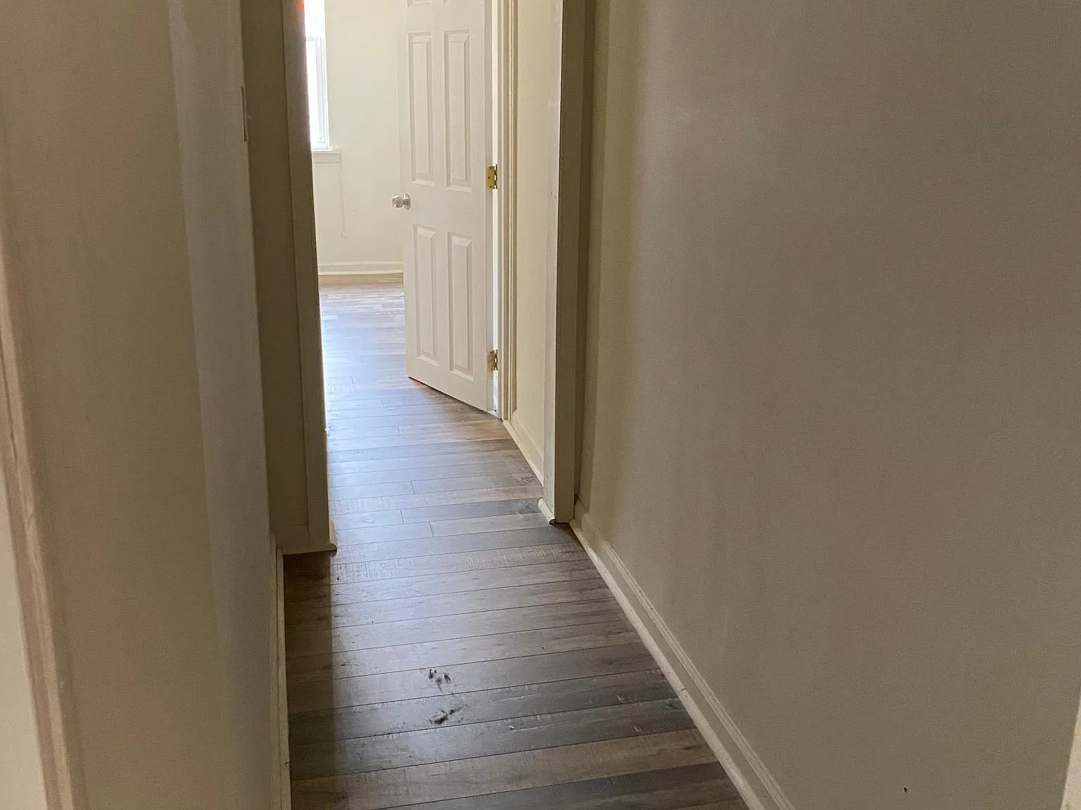 3 bed, 1040 sqft, $1,450 — Photo 2