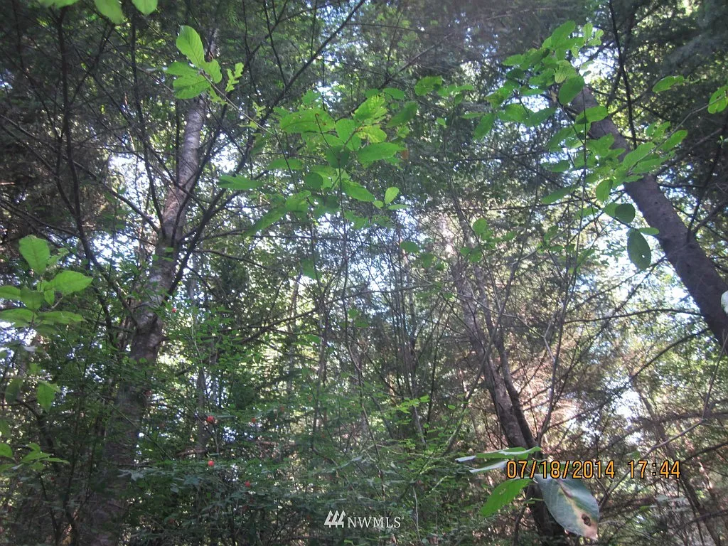 0 SW Paradise Lane photo 1
