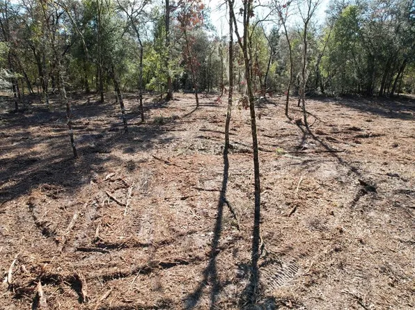NE 116th St Lot 16, Archer, FL 32618