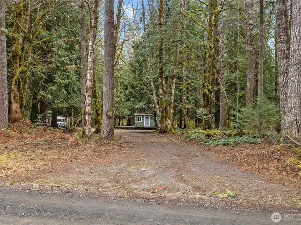 152 Cougar Drive, Packwood, WA 98361