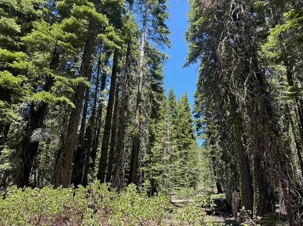 838 27n09b, Taylorsville, CA 95983