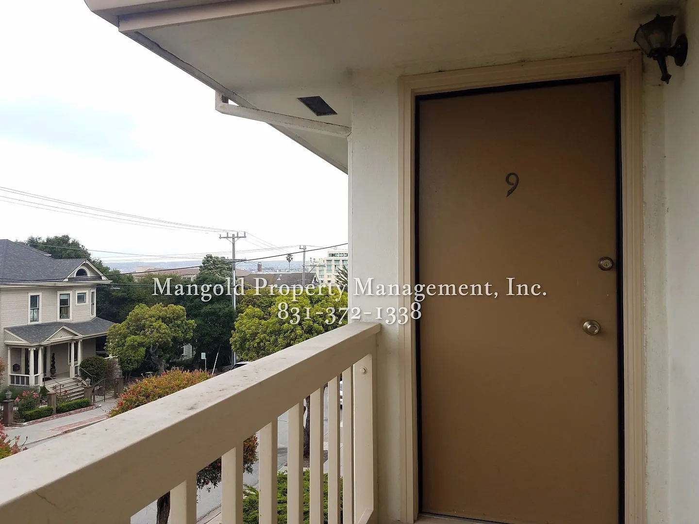 599fran — Photo 2