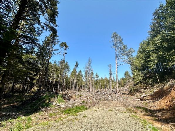 0 40th Street, Seaview, WA 98644
