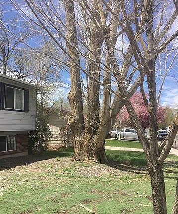 3rd image of 3813 Pearl Dr