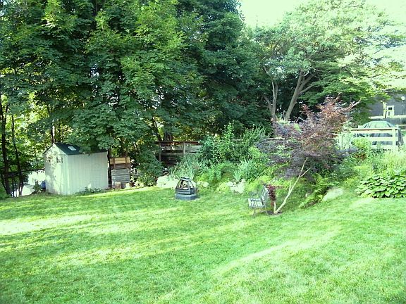 Back Yard from Patio