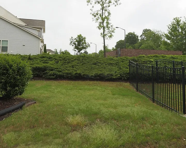 106 Mount Evans Dr — Photo 18
