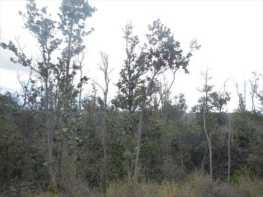 2nd image of Leilani Pkwy Lot 27