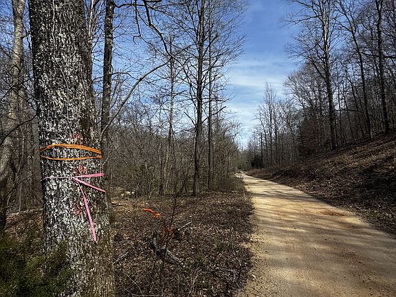 2nd image of 301 Bobcat Rd