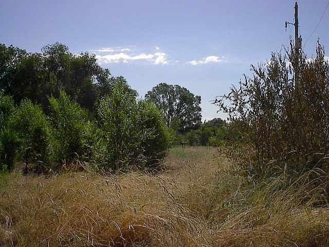 2nd image of Tbd Syringa Ln