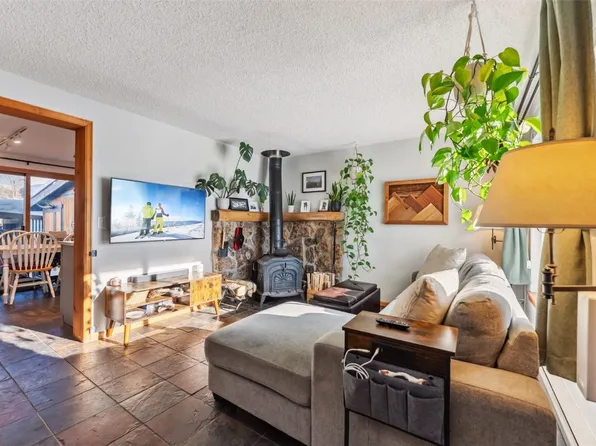 342 W 4th St #342, Silverthorne, CO 80498