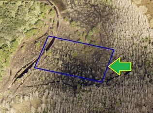 0 Access Laughing Gull Ave, Grant, FL 32949