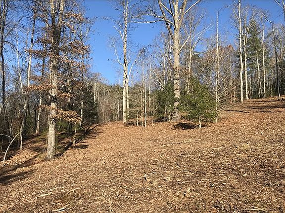 3rd image of 7.5AC Deer Run Trl